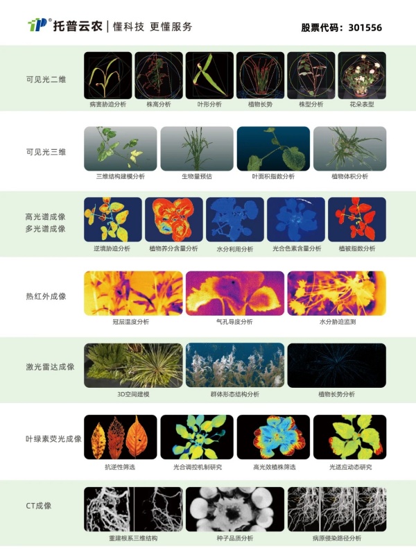 1754279204826779.jpg 植物表型二_副本.jpg