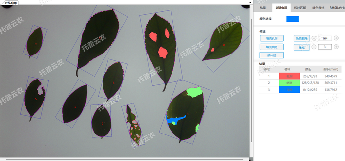 1757057565145267.png 病斑虫损.png