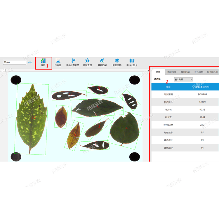 1757057692788653.png 叶面积分析系统界面图.png