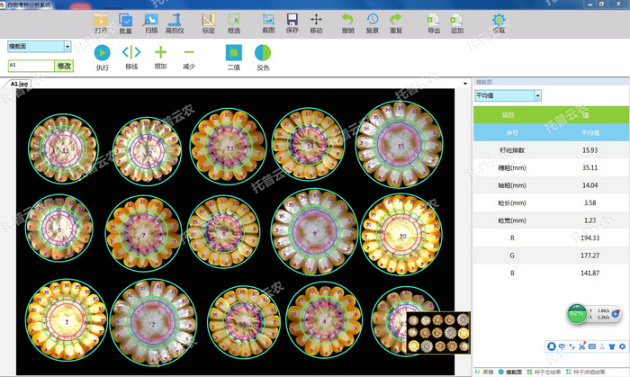 1757405947683683.png 横截面识别.png